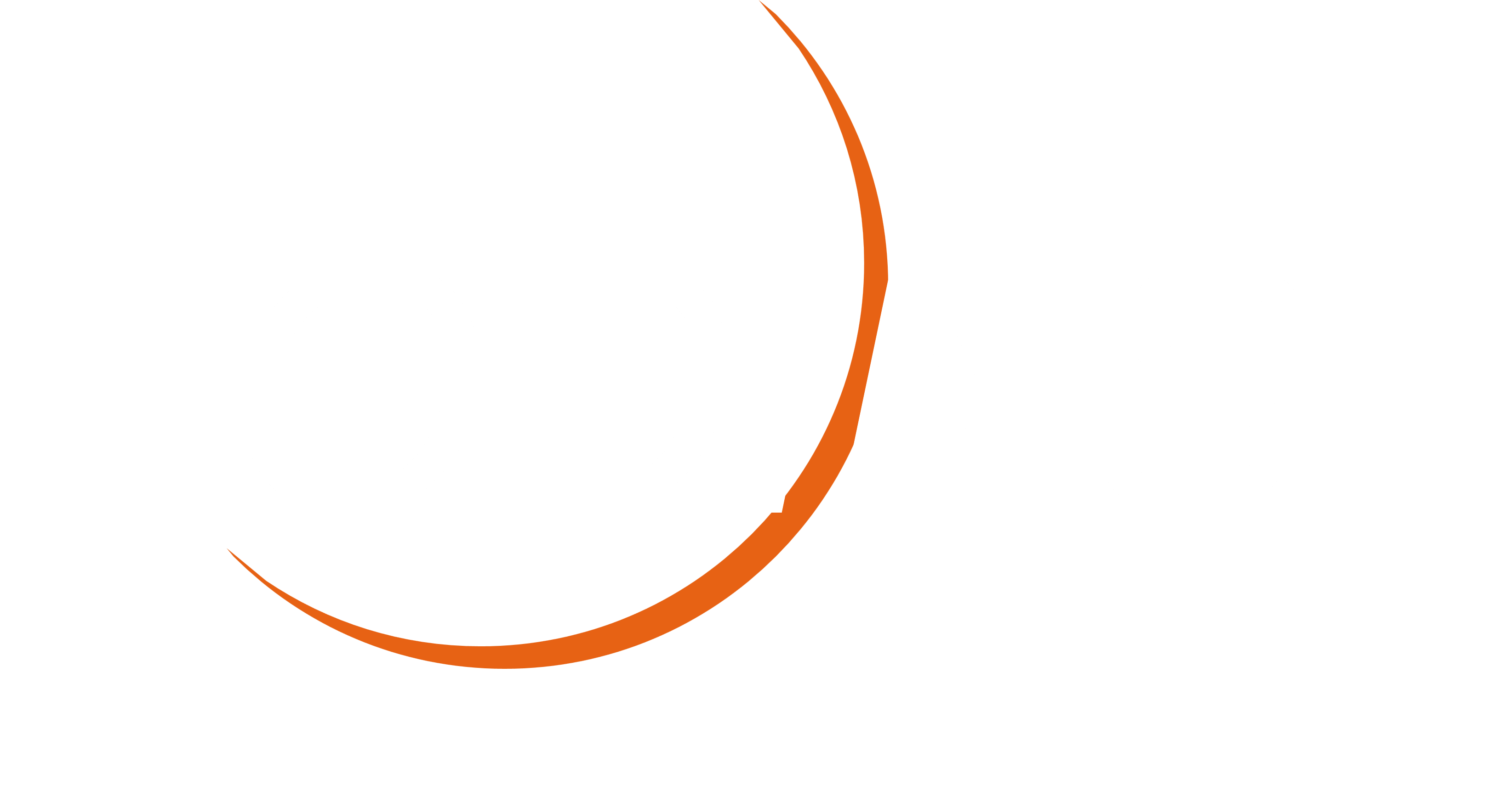 ODINS